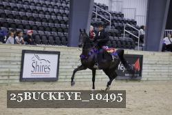 25BUCKEYE_10495 thumbnail