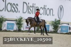 25BUCKEYE_10500 thumbnail