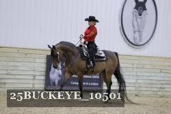 25BUCKEYE_10501 thumbnail