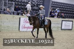 25BUCKEYE_10524 thumbnail