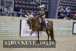 25BUCKEYE_10536 thumbnail
