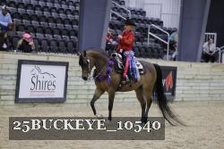 25BUCKEYE_10540 thumbnail