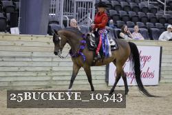25BUCKEYE_10543 thumbnail