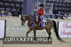 25BUCKEYE_10544 thumbnail