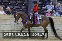 25BUCKEYE_10547 thumbnail