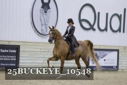 25BUCKEYE_10548 thumbnail