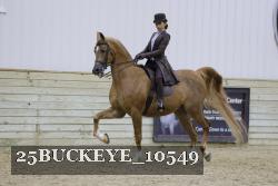 25BUCKEYE_10549 thumbnail