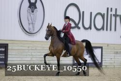 25BUCKEYE_10550 thumbnail