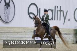 25BUCKEYE_10551 thumbnail