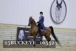 25BUCKEYE_10552 thumbnail