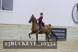 25BUCKEYE_10554 thumbnail