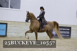 25BUCKEYE_10557 thumbnail