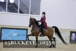 25BUCKEYE_10558 thumbnail