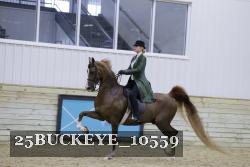 25BUCKEYE_10559 thumbnail