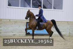 25BUCKEYE_10562 thumbnail