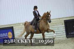 25BUCKEYE_10569 thumbnail
