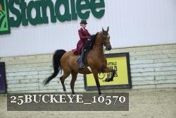 25BUCKEYE_10570 thumbnail