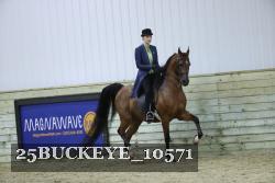 25BUCKEYE_10571 thumbnail