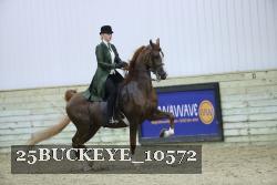 25BUCKEYE_10572 thumbnail