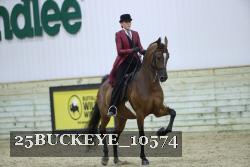 25BUCKEYE_10574 thumbnail