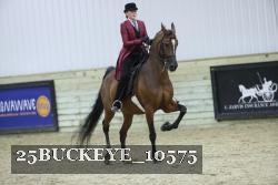25BUCKEYE_10575 thumbnail