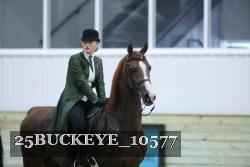 25BUCKEYE_10577 thumbnail
