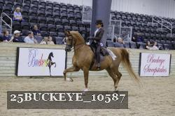 25BUCKEYE_10587 thumbnail