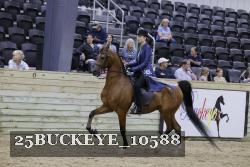 25BUCKEYE_10588 thumbnail