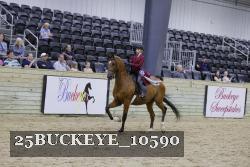 25BUCKEYE_10590 thumbnail