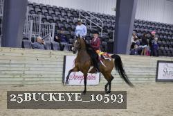25BUCKEYE_10593 thumbnail