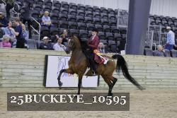 25BUCKEYE_10595 thumbnail