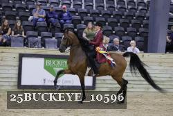 25BUCKEYE_10596 thumbnail