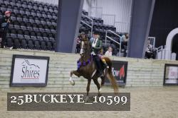 25BUCKEYE_10599 thumbnail