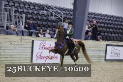 25BUCKEYE_10600 thumbnail