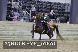 25BUCKEYE_10601 thumbnail
