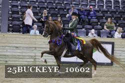 25BUCKEYE_10602 thumbnail