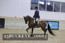 25BUCKEYE_10603 thumbnail
