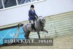 25BUCKEYE_10610 thumbnail