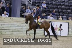 25BUCKEYE_10621 thumbnail