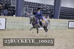 25BUCKEYE_10625 thumbnail