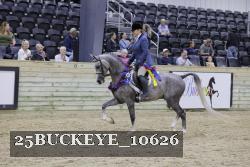 25BUCKEYE_10626 thumbnail