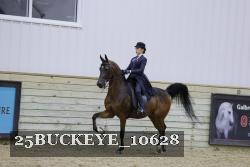 25BUCKEYE_10628 thumbnail