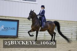 25BUCKEYE_10629 thumbnail