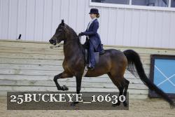 25BUCKEYE_10630 thumbnail