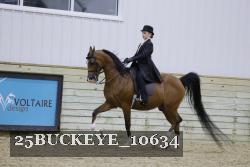 25BUCKEYE_10634 thumbnail