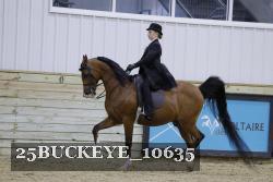 25BUCKEYE_10635 thumbnail