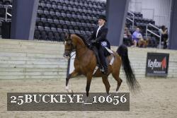 25BUCKEYE_10656 thumbnail