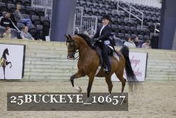 25BUCKEYE_10657 thumbnail