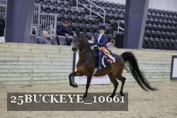 25BUCKEYE_10661 thumbnail