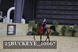 25BUCKEYE_10667 thumbnail